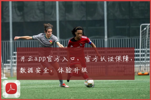 开云app官方入口，官方认证保障，数据安全，体验升级